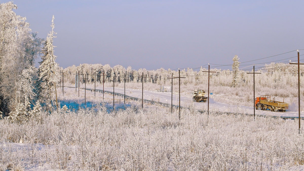 *** - Роман Величко