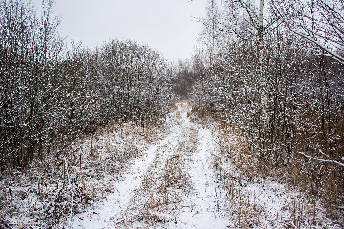Лесная дорога зимой - Павел Москалёв