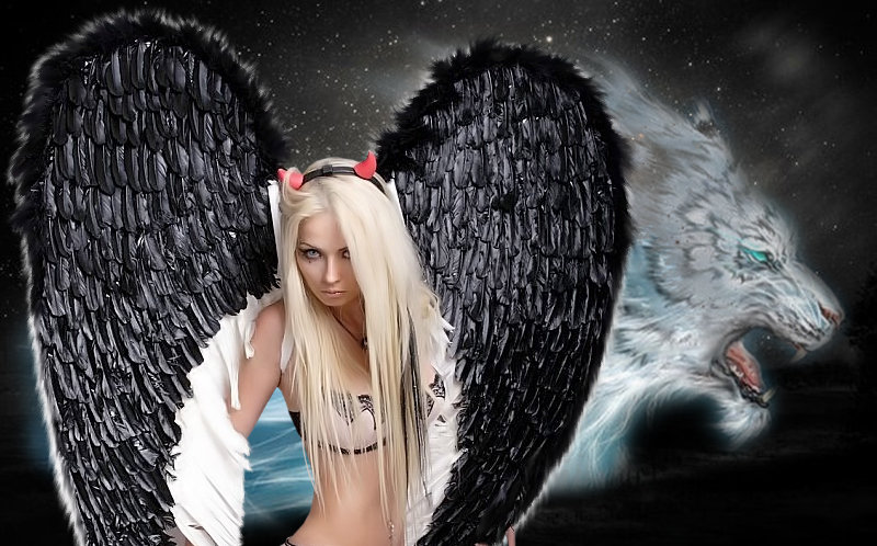Ангел с душой хищника - Сергей 