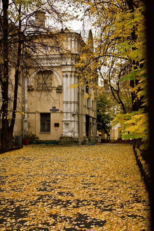Осень в городе - Elena Ignatova
