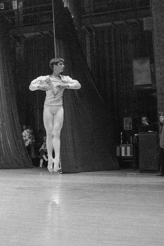 about ballet - Vitaliy Mytnik
