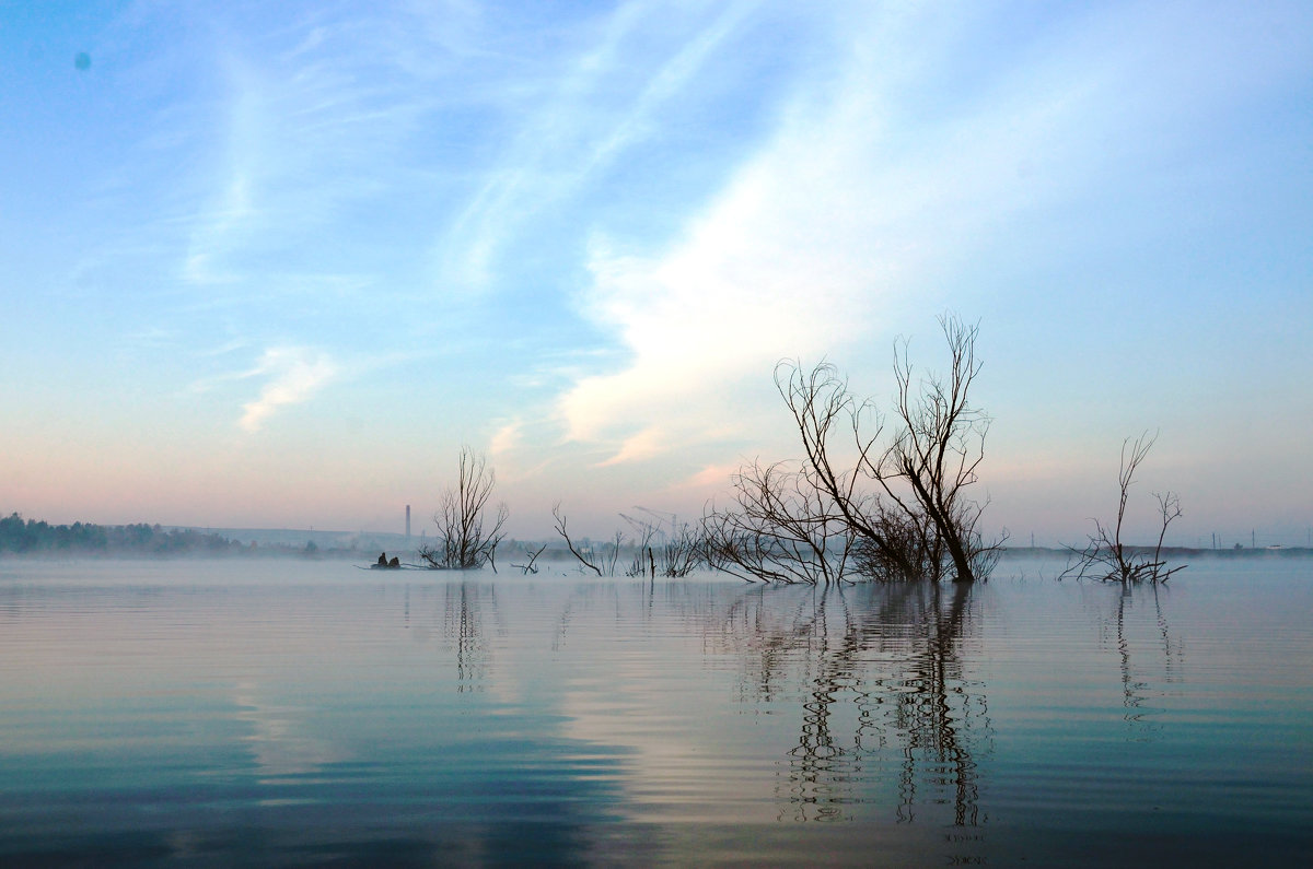 Morning calm - alexander zvir