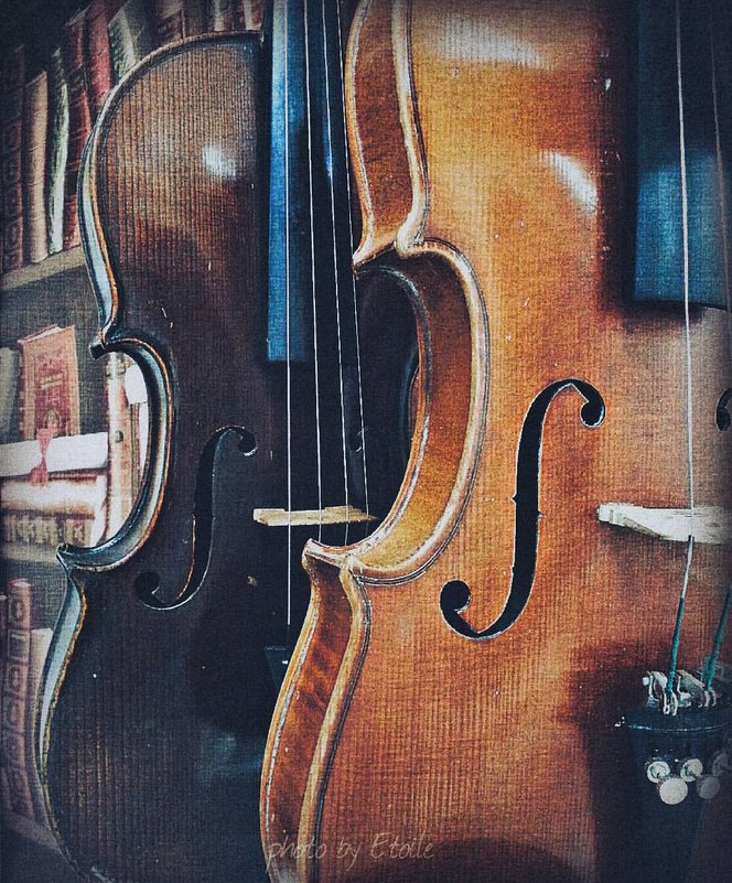 violins - Lady Etoile