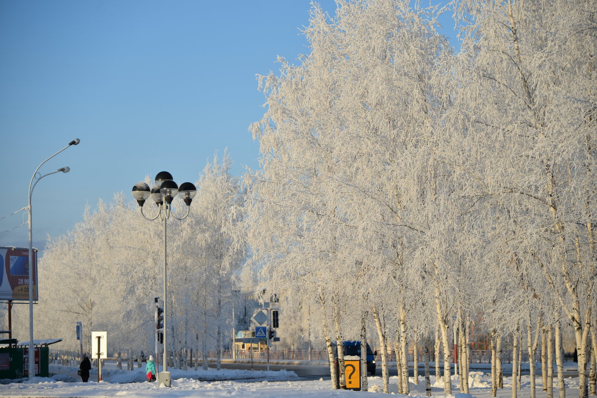 зимняя заснежиность на центральной площади - Михаил Плецкий