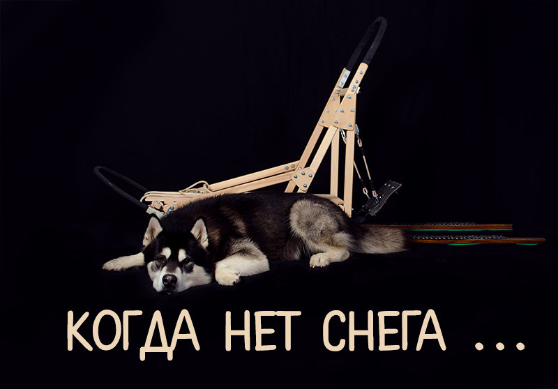 Нарты и собака - Юрий Короновский