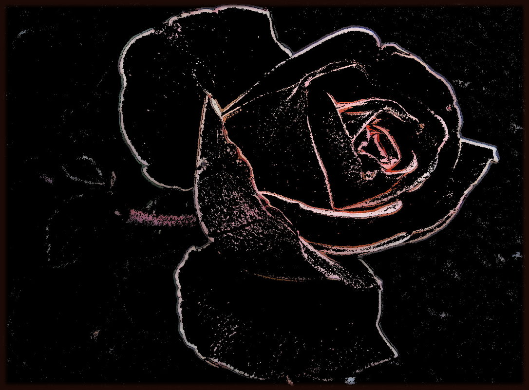 Очертания розы - Нина Корешкова