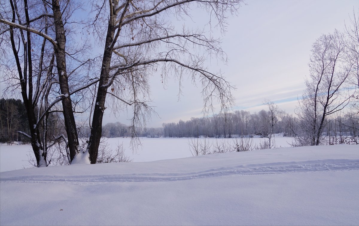 Начало зимы - Наталия Григорьева
