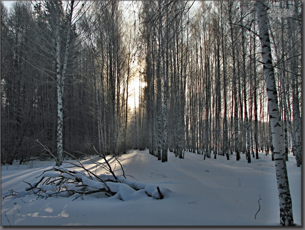 Чувашия .Козловский район.Городские окрестности. 2007 год. - Юрий Ефимов