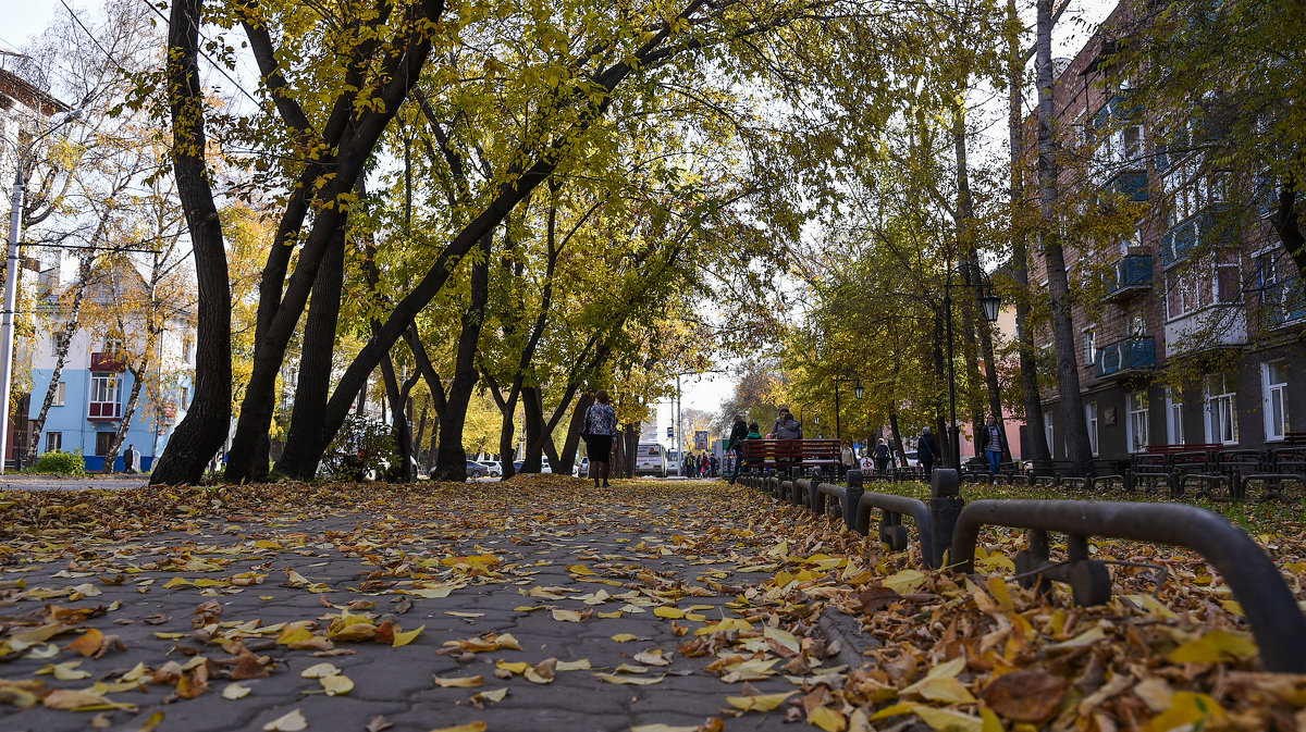 Осенний город - юрий Амосов