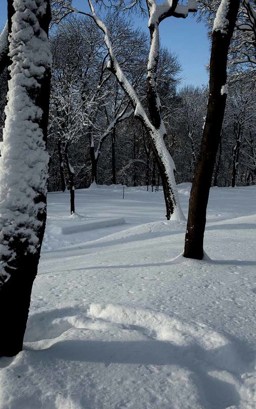 Зимний этюд. - Николай Сидаш