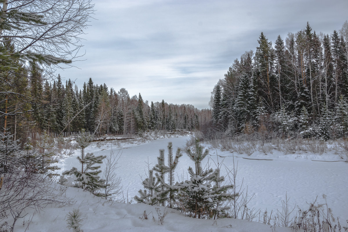 Замёрзшая река - Владимир Бобришев