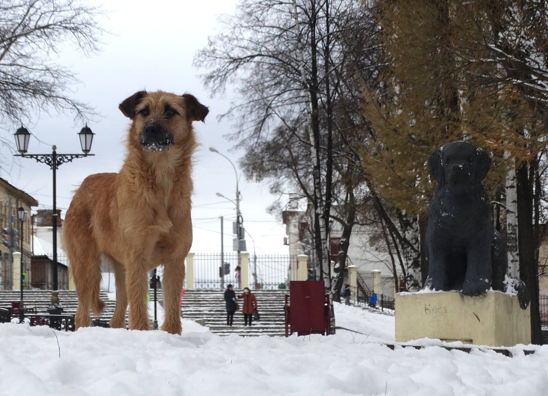 Живое изваяние - Валерий Чепкасов