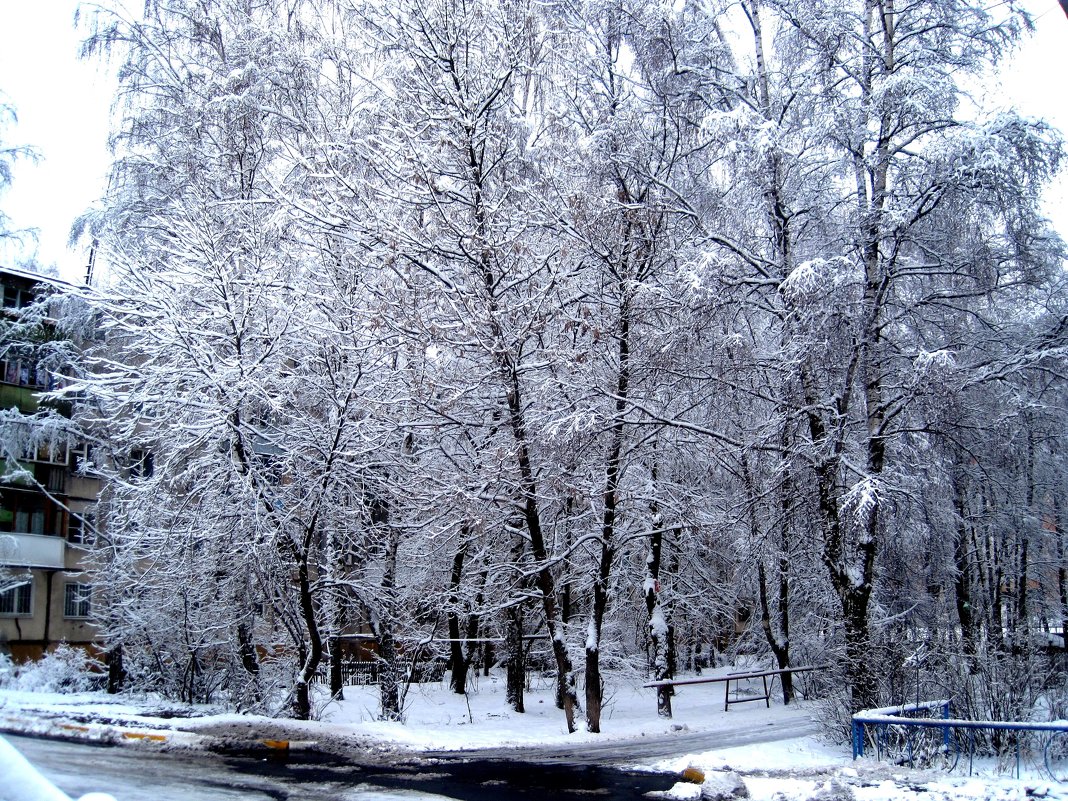 Однажды зимним днем - Елена Семигина