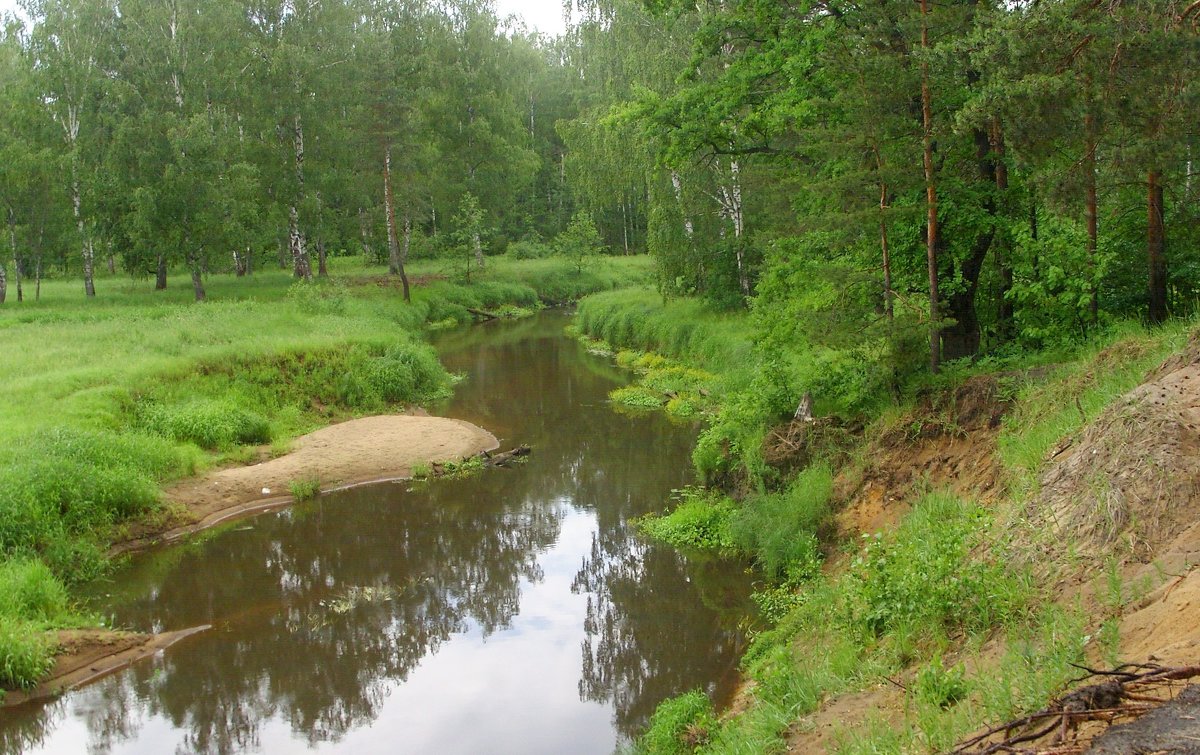 Река Поля - Виктор Мухин