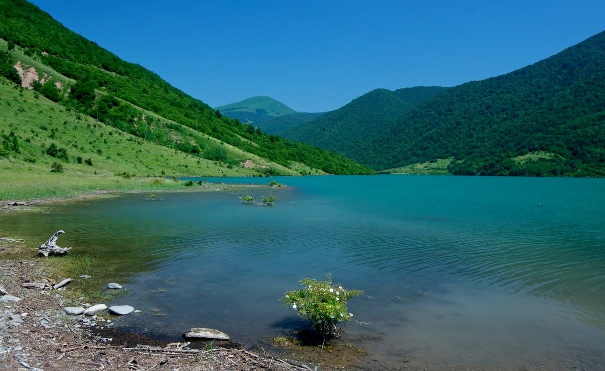 Лучше гор могут быть только горы... - Мария Коледа