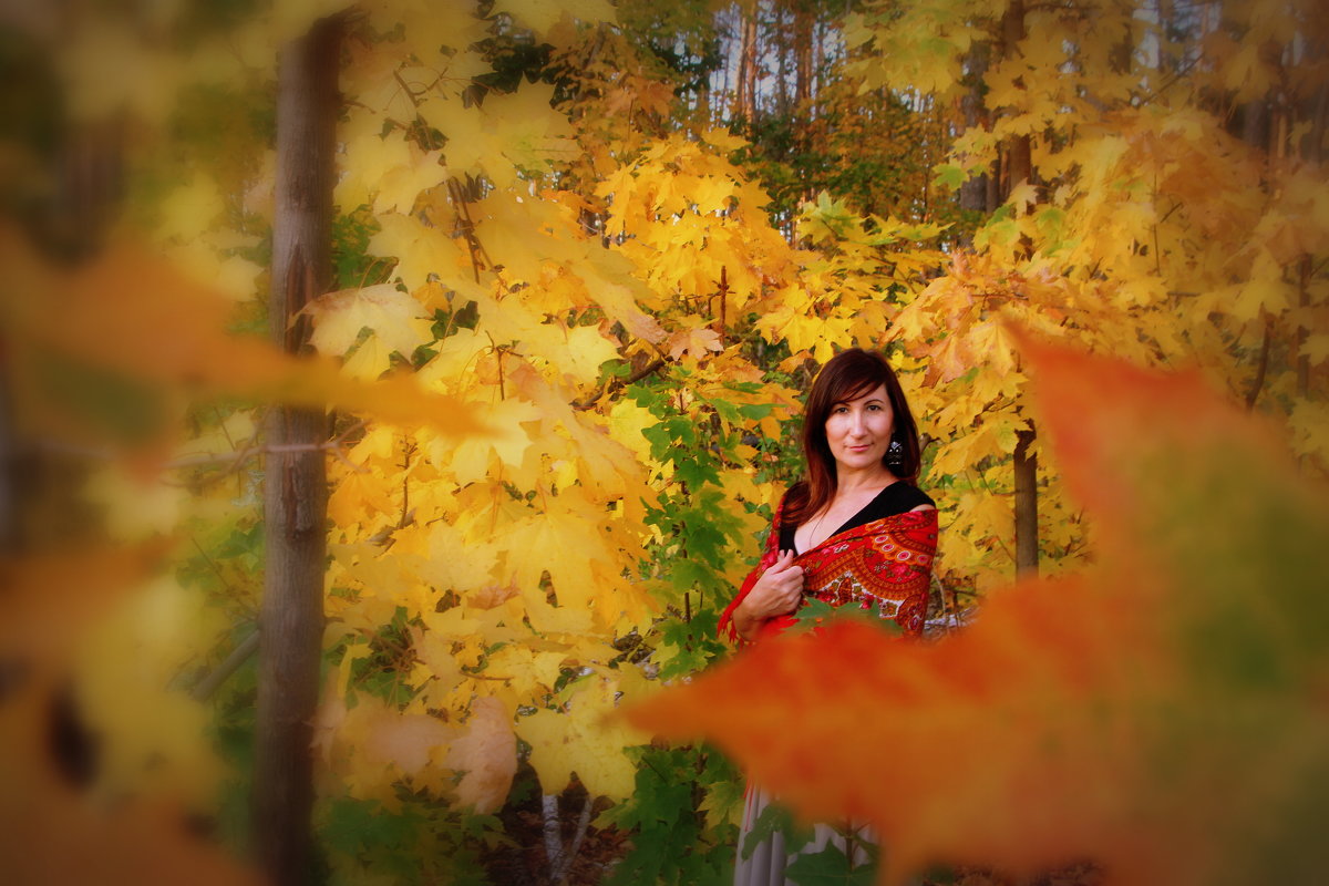 Осень в ярких красках - Наталья Озерская