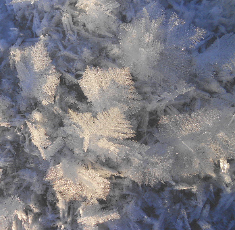 Снежные кристаллы - Ирина Олехнович