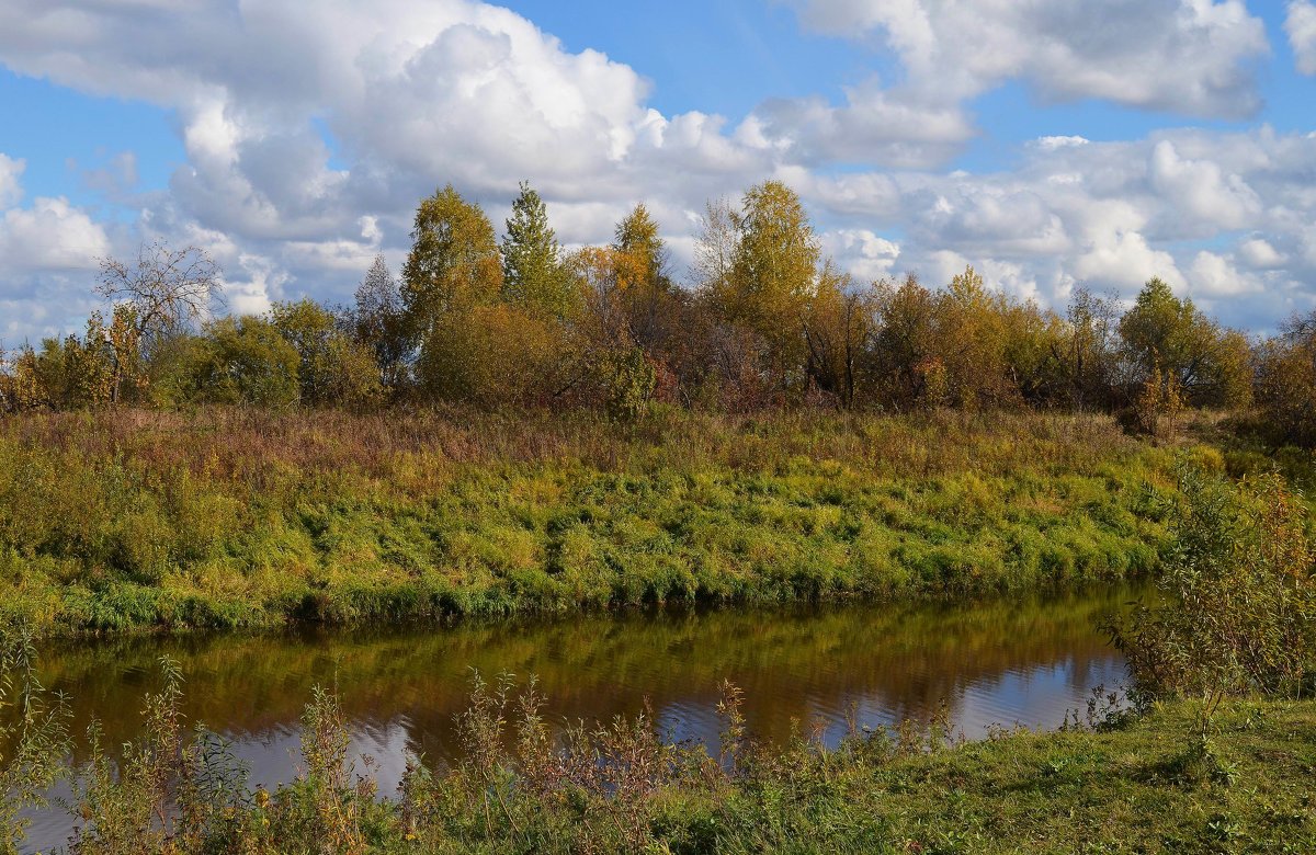 Осень в разгаре - Вера Андреева