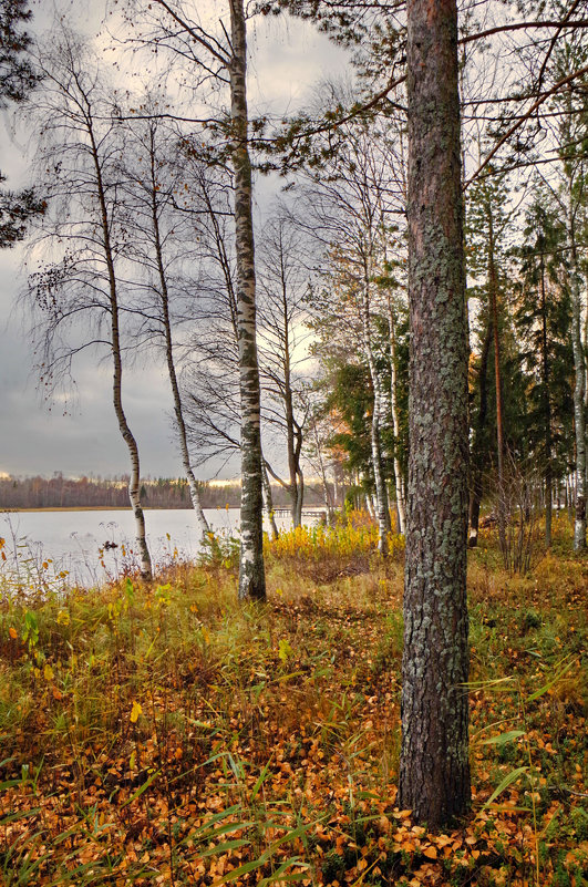 Осень на озере - Валерий Талашов