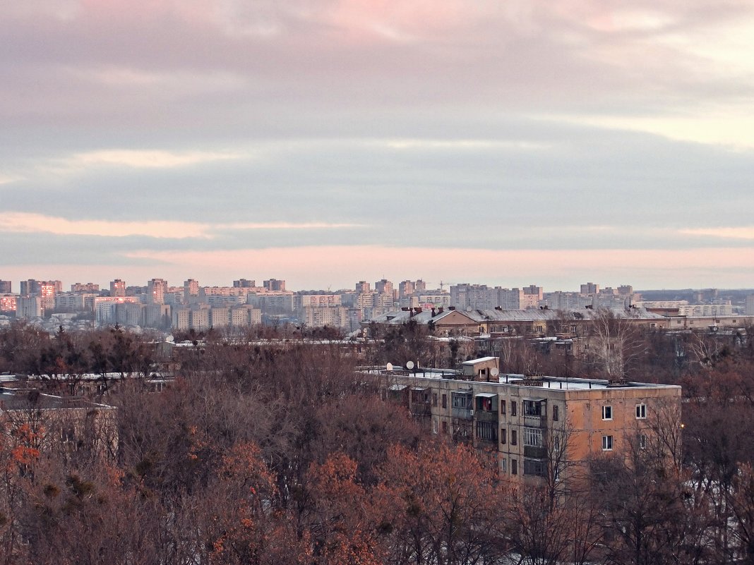 Утро красит нежным цветом... - Наталья Тимошенко