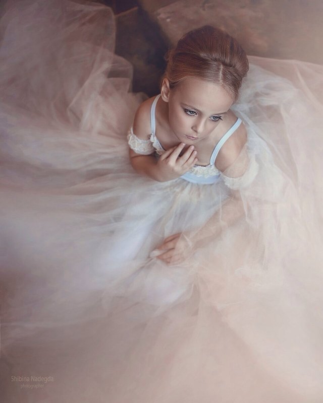 Тайный мир балета - Надежда Шибина