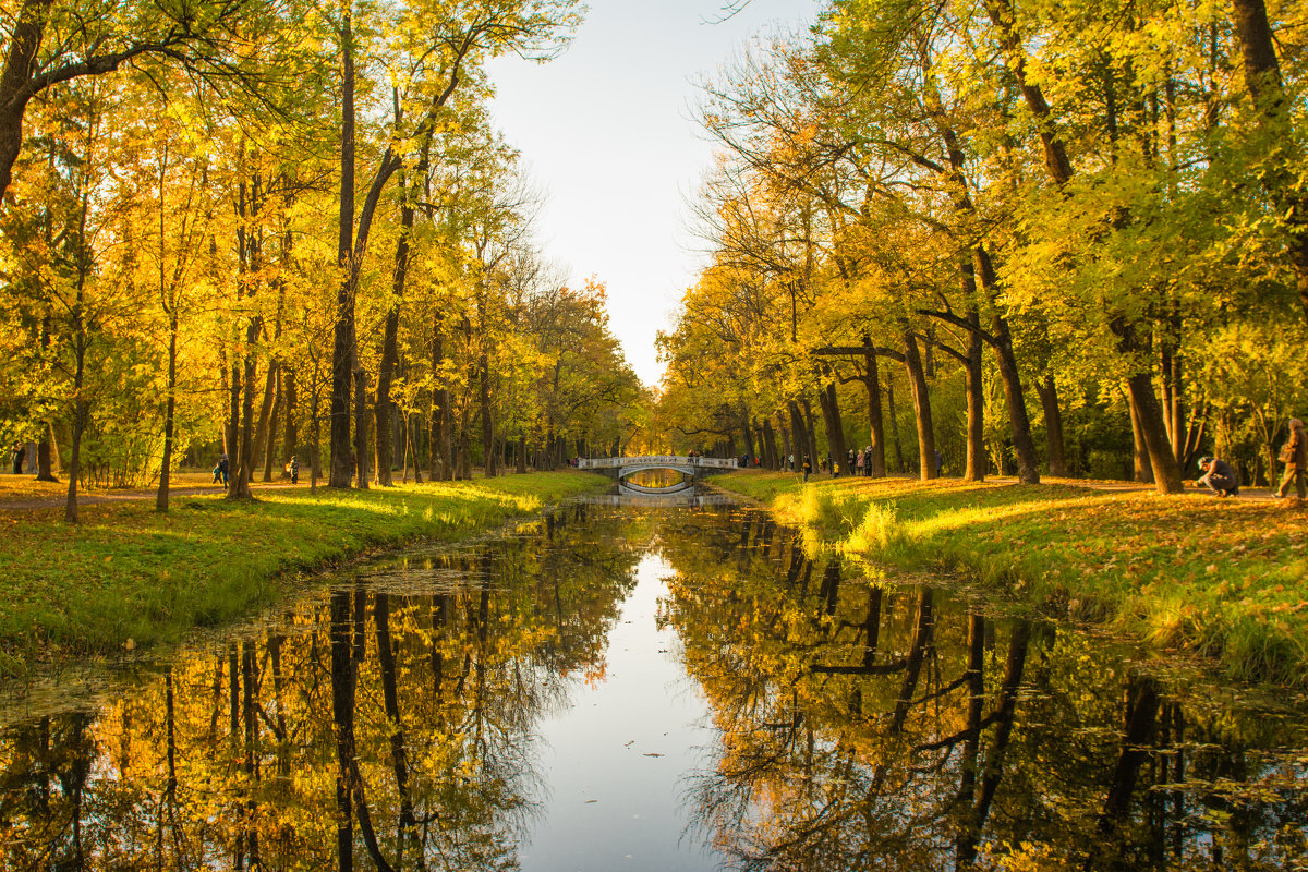 Осень - Элла Ш.