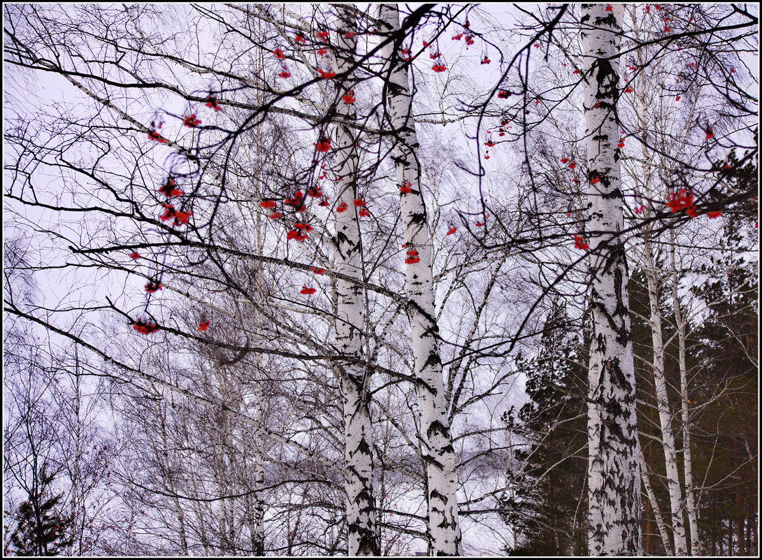 Зарисовка зимнего дня - Владимир Холодный