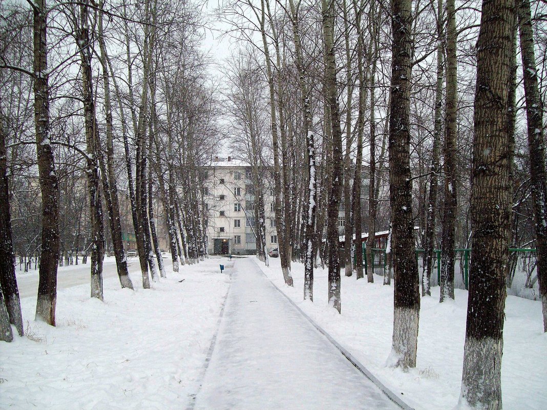 В нашем городе снег - alemigun 