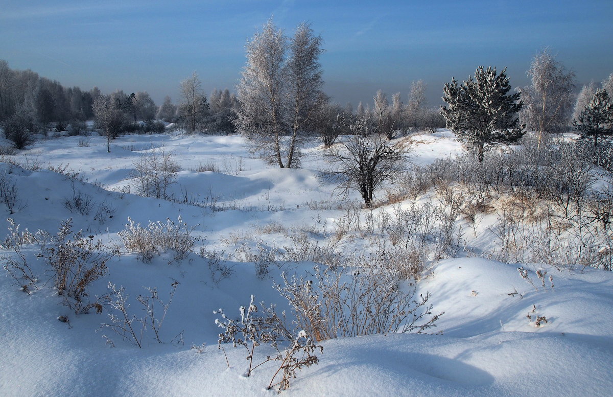 Как Вам нравится пейзаж - зимний наш сибирский?... - Александр Попов