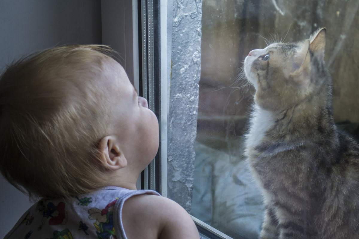 кот и ребенок - Галина 