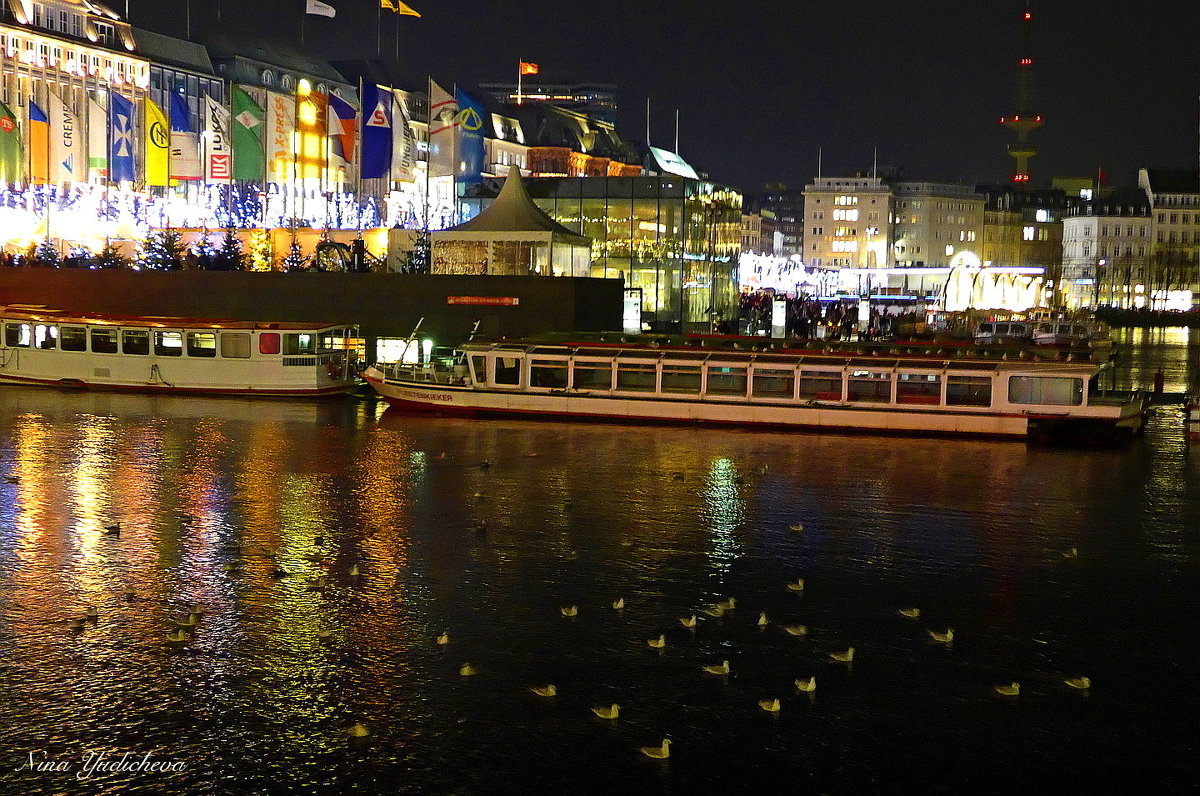 Alster. Hamburg - Nina Yudicheva