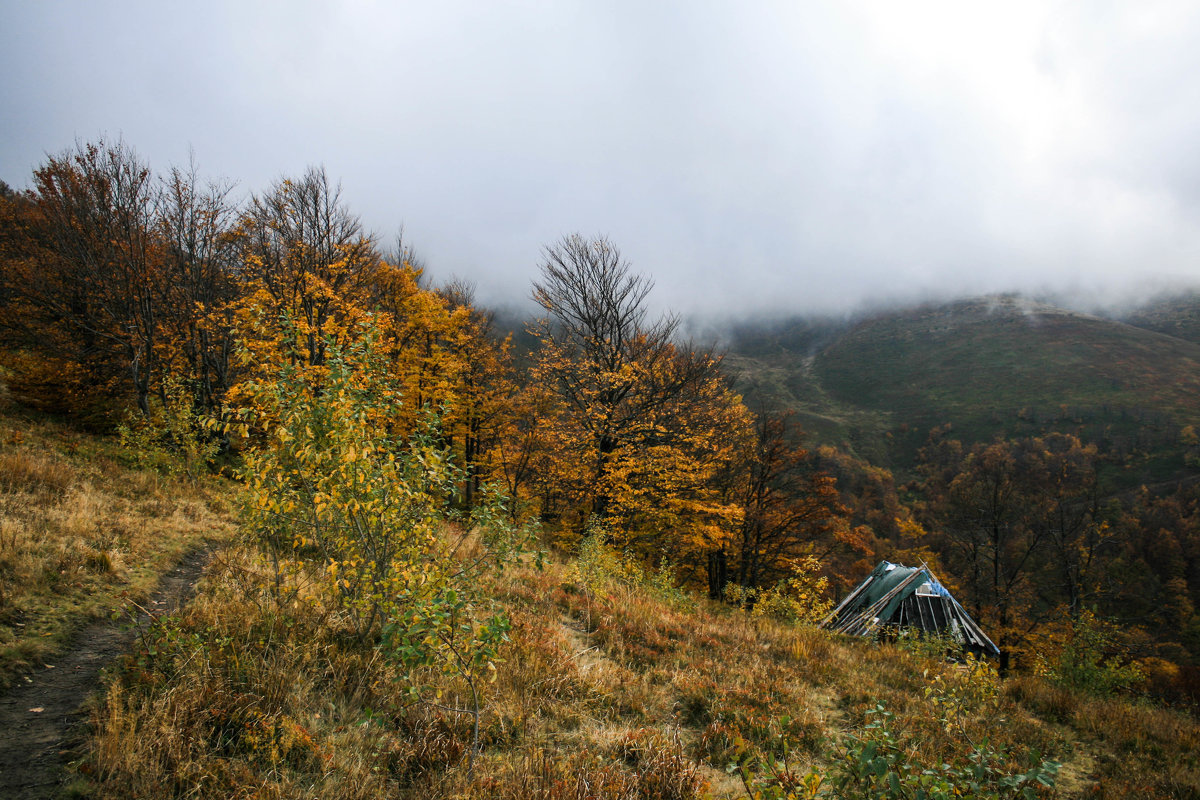 Осень в горах - la_lime .