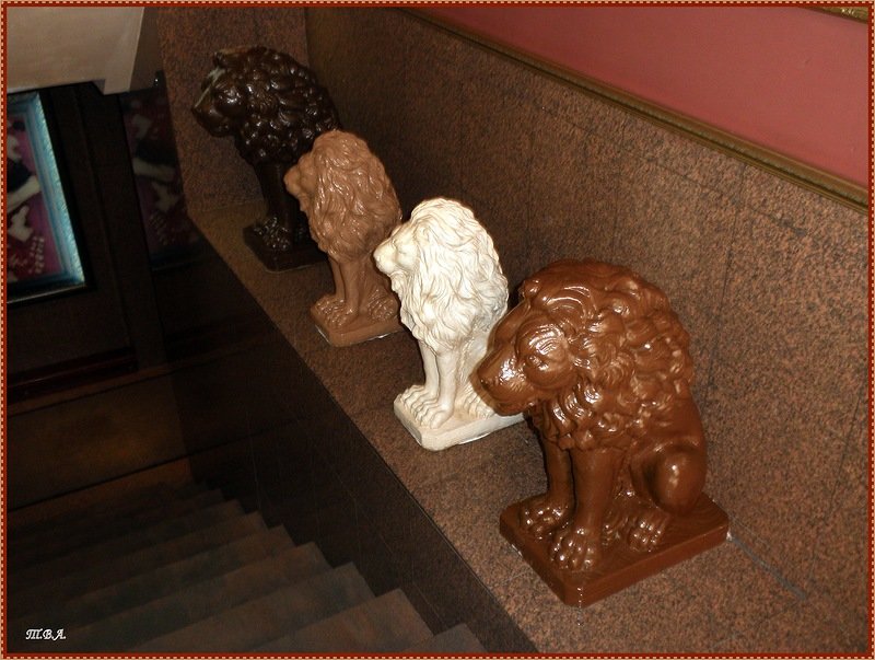 Музей шоколада - Вера 
