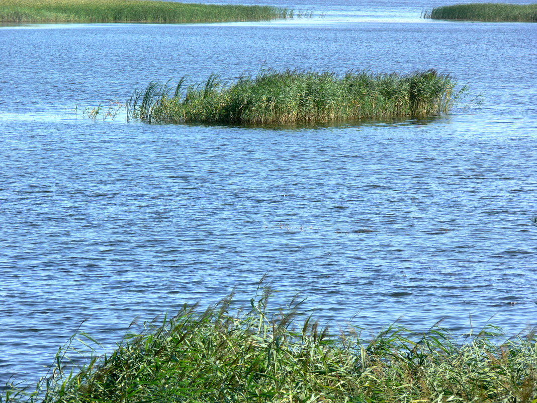 синее озеро - Богдан Вовк