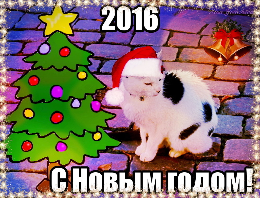 Кошка из Штаде шлёт вам поздравления, друзья! - Nina Yudicheva