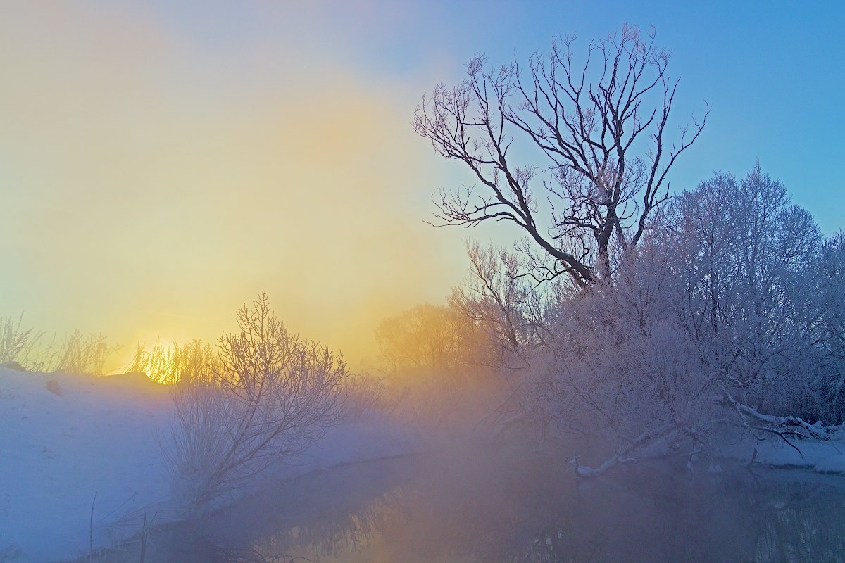 Солнце в тумане. - Анатолий Круглов