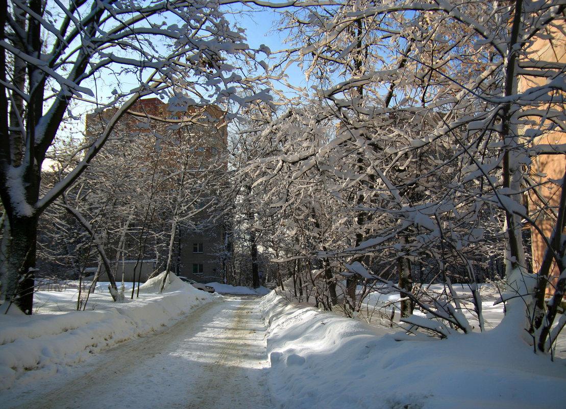 Зимняя дорога - lady-viola2014 -