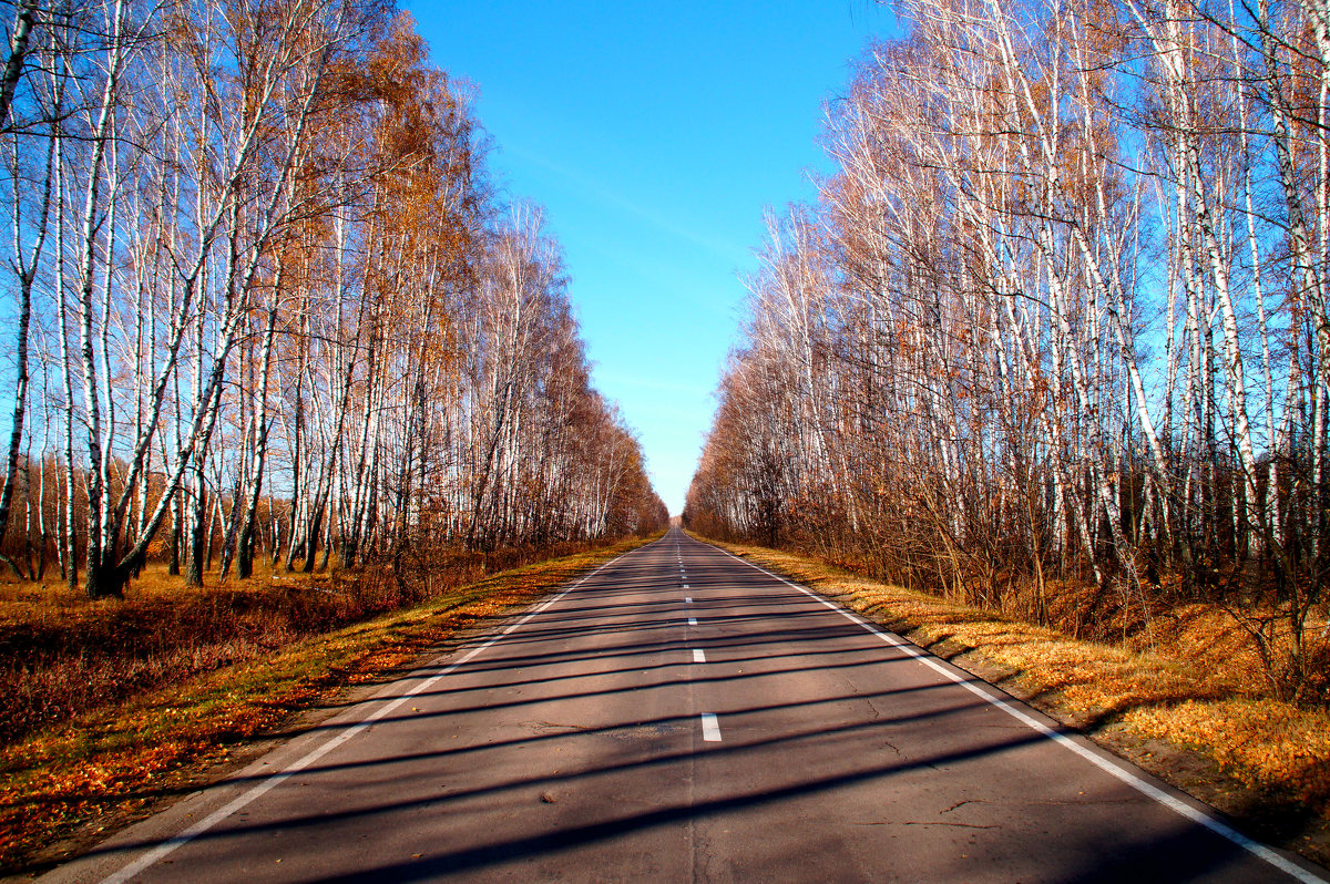 Дорога в осень - Vladimir Smirnov