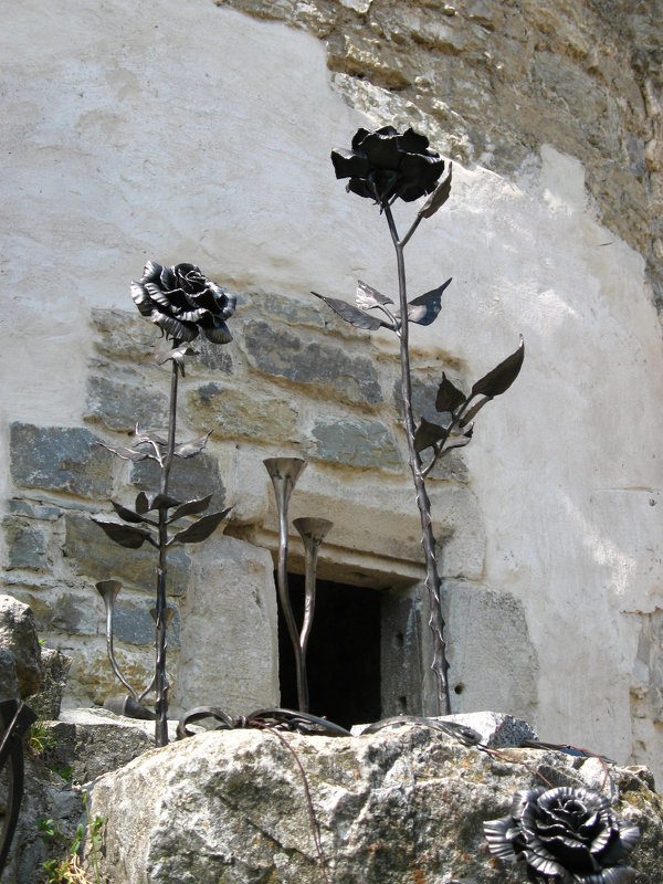роза на камне - ruslan romaniuk