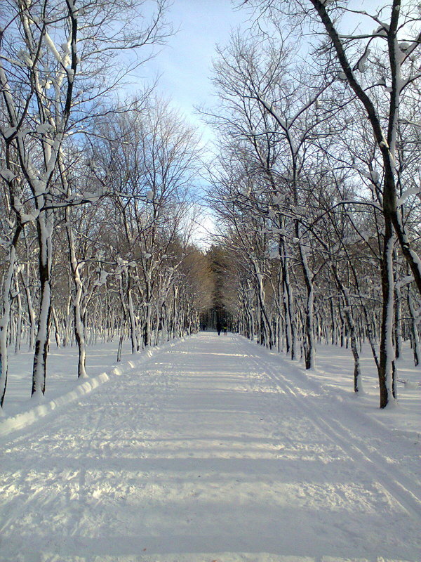 ... - Валентина Журба