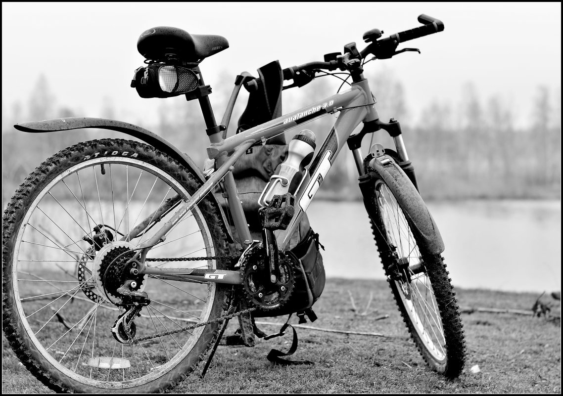 мой велосипед - Светлана Прилуцких