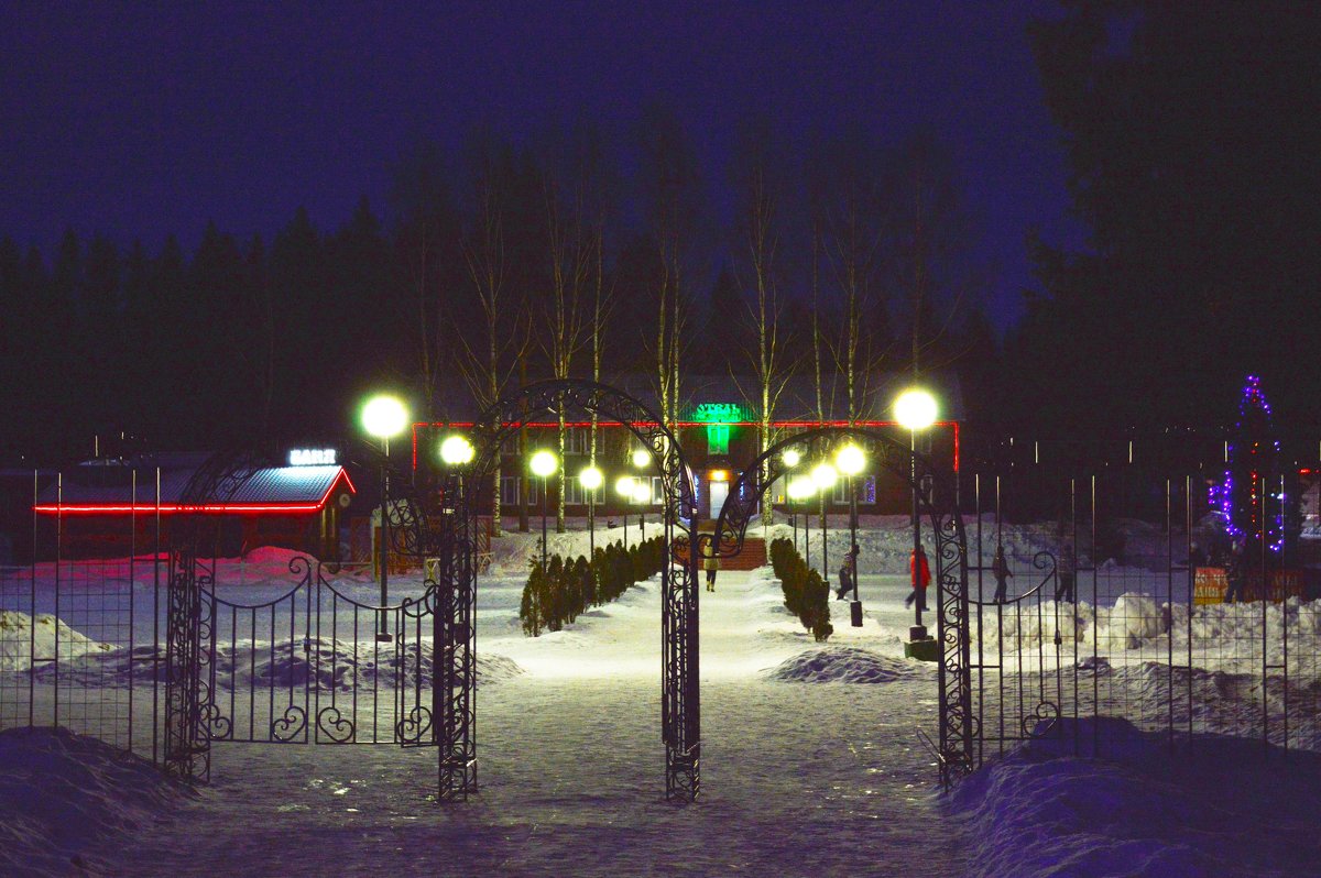 В зимнем парке - AndrewVK 