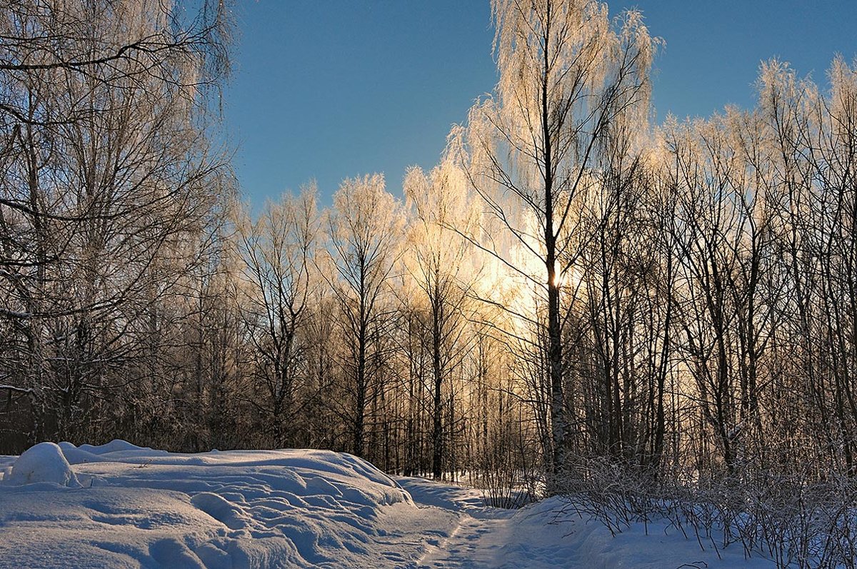 Волшебство зимнего утра - Николай Белавин
