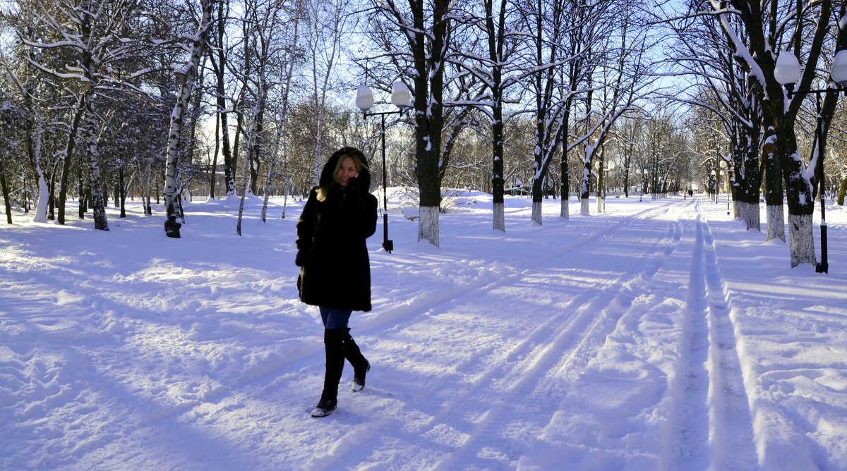 В зимнем парке - Владимир Болдырев
