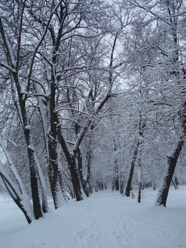 Найти это место на соседних фото - Андрей Лукьянов