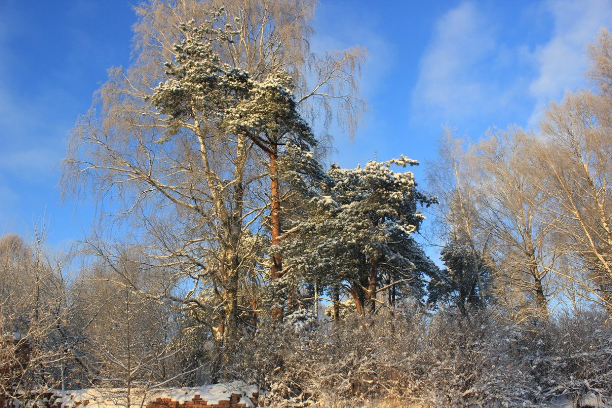 *** - Сергей Кочнев