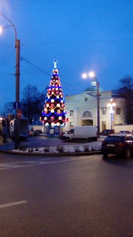 Новогодняя елка около Александра-Невской Лавры! - Светлана Калмыкова