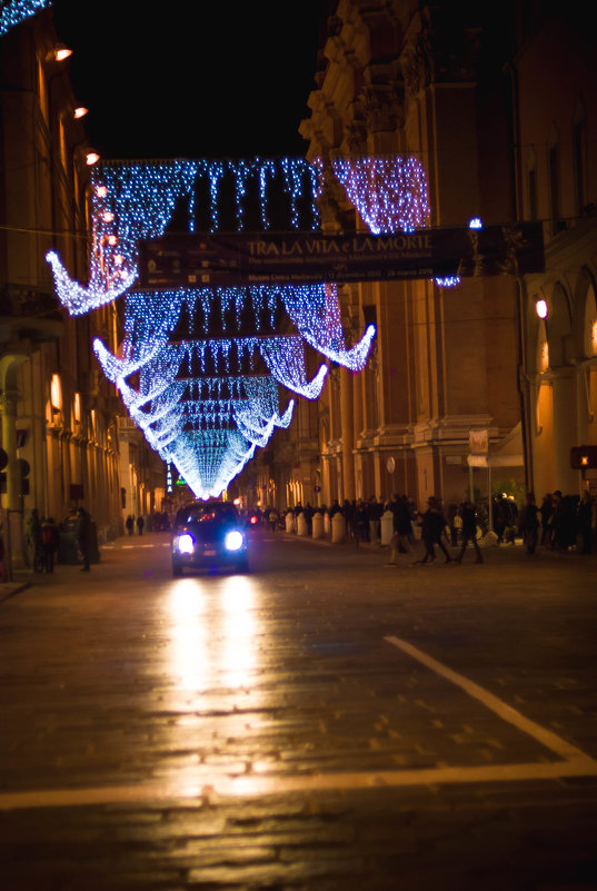 Buon anno Bologna - Nana Petrova