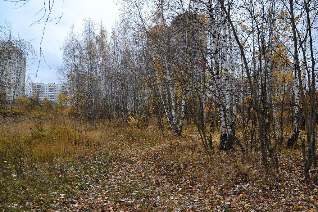 Осень... - Александр Филатов