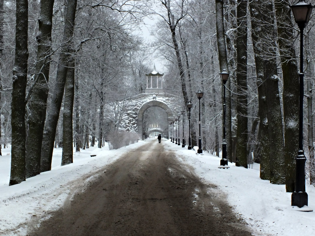 Большой каприз ,Пушкин - Галина (Stela) Кожемяченко